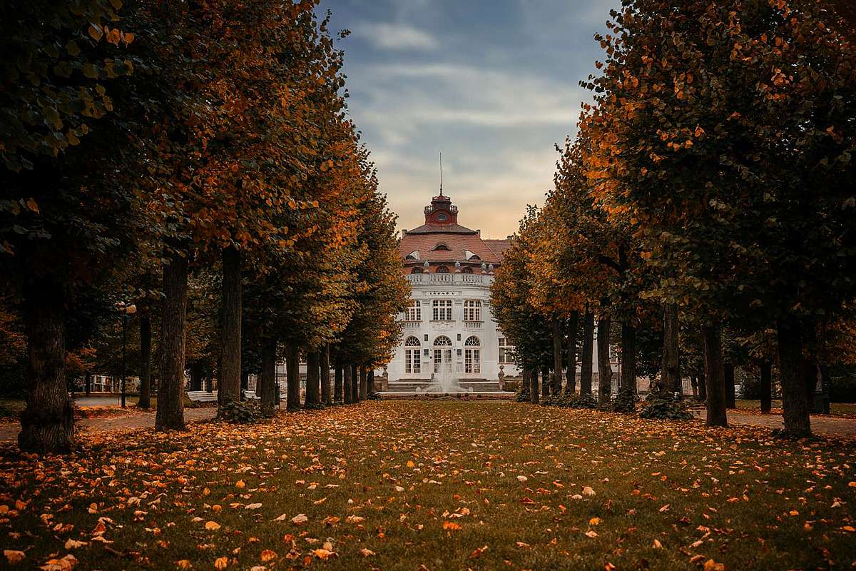 Alej ve Smetanových sadech